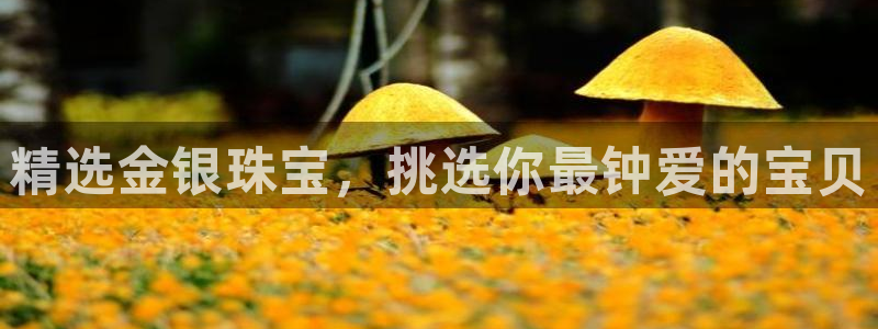 新宝5官网霸：精选金银珠宝，挑选你最钟爱的宝贝