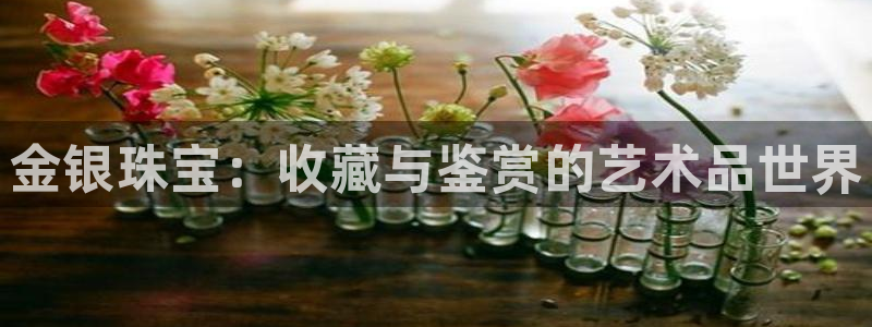 新宝5娱乐经：金银珠宝：收藏与鉴赏的艺术品世界