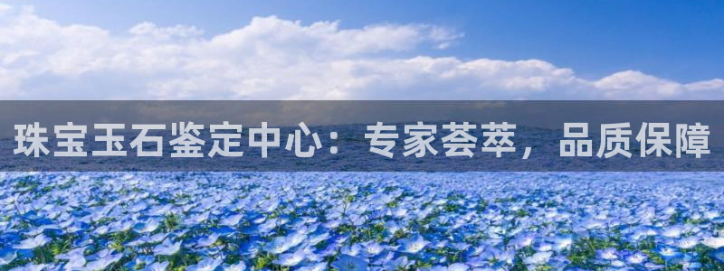 新宝5网址：珠宝玉石鉴定中心：专家荟萃，品质保障