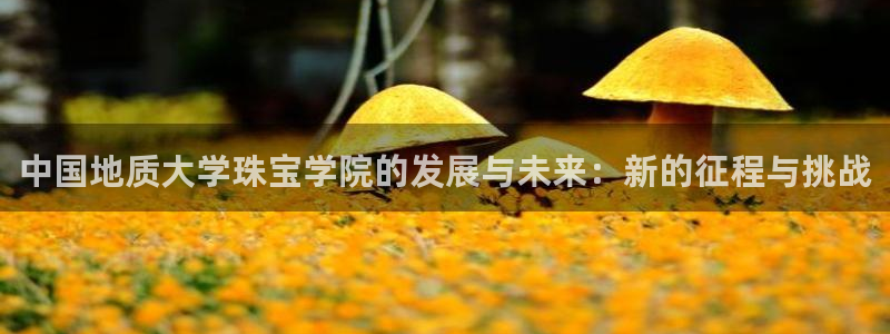 新宝5娱乐平台：中国地质大学珠宝学院的发展与未来：新的征程与挑战