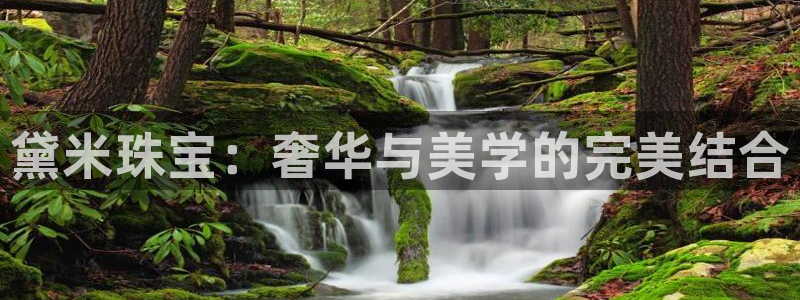 新宝5总代：黛米珠宝：奢华与美学的完美结合