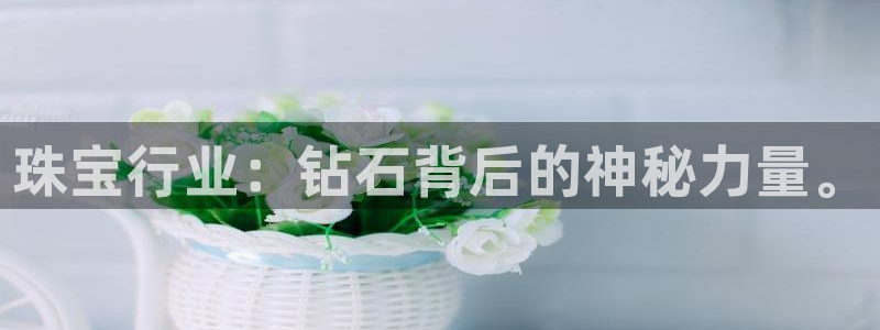 新宝5谠631257：珠宝行业：钻石背后的神秘力量。