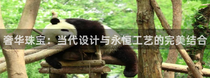 新宝5手机版登录：奢华珠宝：当代设计与永恒工艺的完美结合