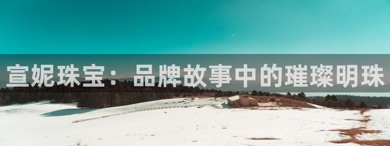 新宝m2O5O5O：宣妮珠宝：品牌故事中的璀璨明珠