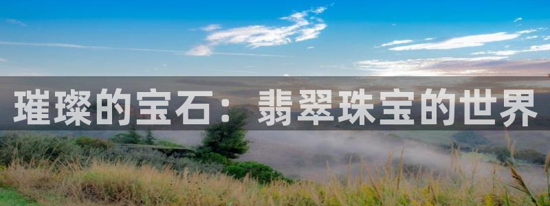 新宝那2O5O5O：璀璨的宝石：翡翠珠宝的世界