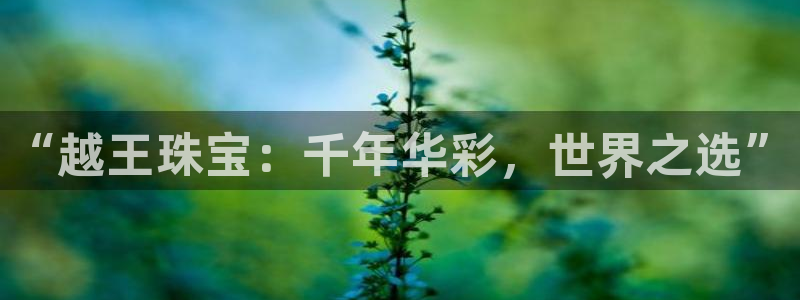 新宝5怎么下载到桌面：“越王珠宝：千年华彩，世界之选”