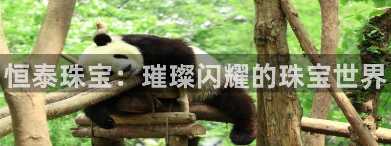 新宝5月：恒泰珠宝：璀璨闪耀的珠宝世界