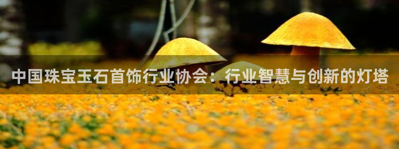 新宝5官方网站：中国珠宝玉石首饰行业协会：行业智慧与创新的灯塔