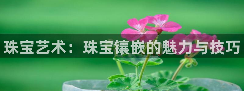 新宝5登录界面：珠宝艺术：珠宝镶嵌的魅力与技巧