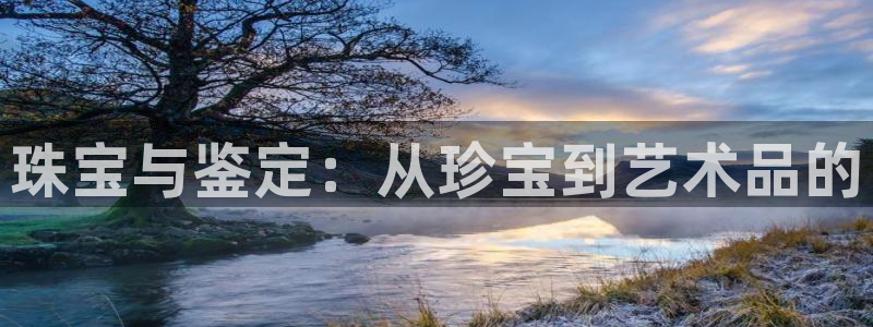 新宝5巅峰：珠宝与鉴定：从珍宝到艺术品的