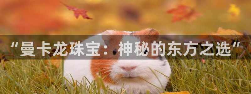 新宝5褚74OOO5：“曼卡龙珠宝：神秘的东方之选”