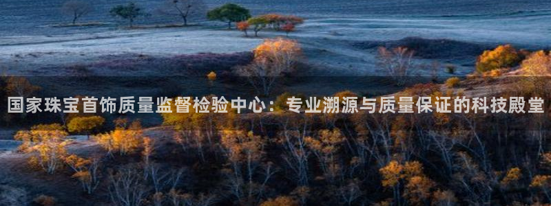 新宝G5：国家珠宝首饰质量监督检验中心：专业溯源与质量保证的科技殿堂