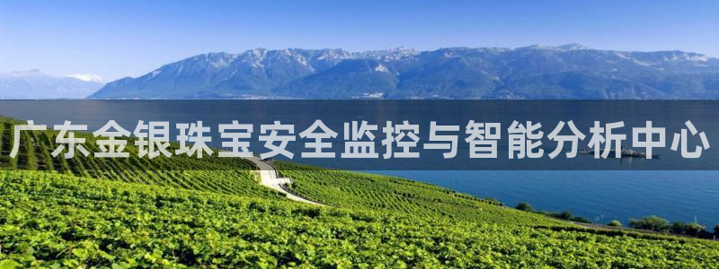 新宝5得74OOO5：广东金银珠宝安全监控与智能分析中心