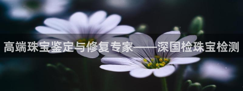 新宝5官方下载地址：高端珠宝鉴定与修复专家——深国检珠宝检测