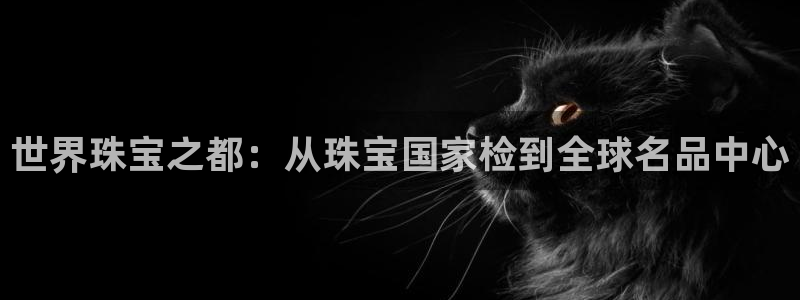 新宝5下载官方：世界珠宝之都：从珠宝国家检到全球名品中心