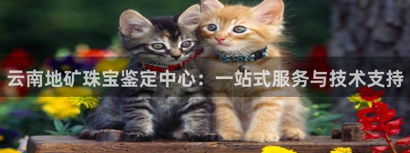 新宝gg5：云南地矿珠宝鉴定中心：一站式服务与技术支持