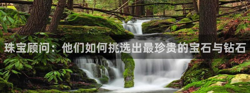 新宝5娱乐手机登录：珠宝顾问：他们如何挑选出最珍贵的宝石与钻石