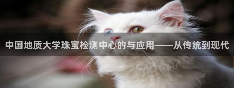 新宝6霸哥5：中国地质大学珠宝检测中心的与应用——从传统到现代