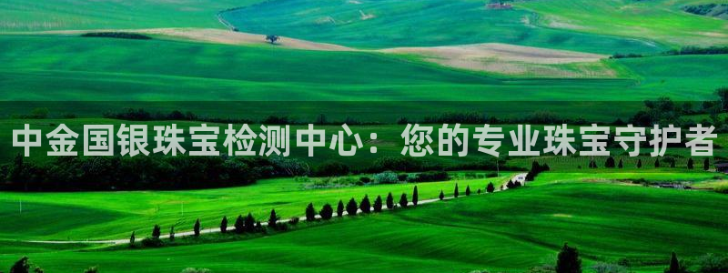 新宝5开好：中金国银珠宝检测中心：您的专业珠宝守护者