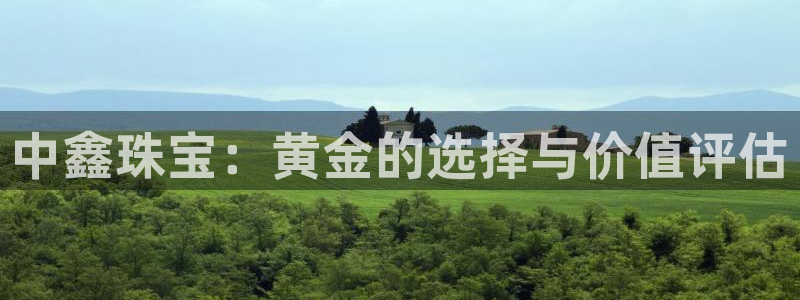 2022新宝骏rs 5：中鑫珠宝：黄金的选择与价值评估