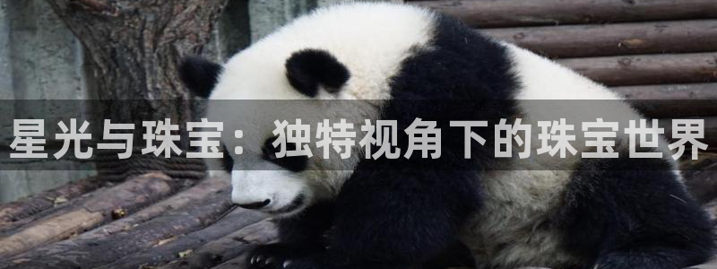 新宝5手机版登录：星光与珠宝：独特视角下的珠宝世界