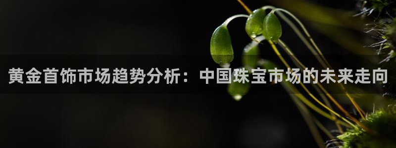 新宝5平台霸：黄金首饰市场趋势分析：中国珠宝市场的未来走向
