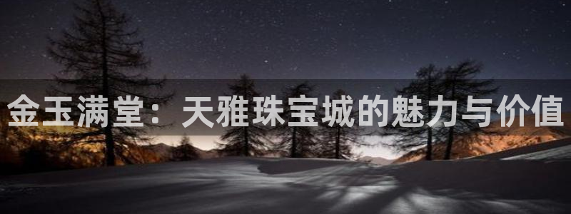新宝cR一5：金玉满堂：天雅珠宝城的魅力与价值