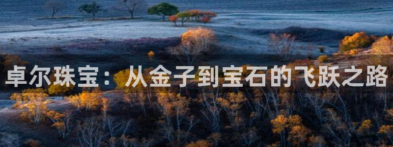 新宝5系列：卓尔珠宝：从金子到宝石的飞跃之路