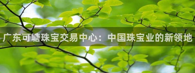 新宝5策略：广东可塘珠宝交易中心：中国珠宝业的新领地