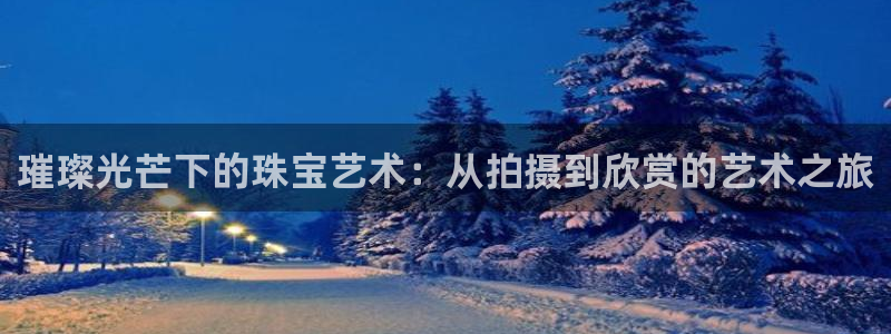 新宝5平台注册公司：璀璨光芒下的珠宝艺术：从拍摄到欣赏的艺术之旅