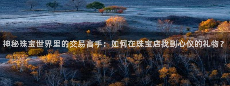 新宝5测登录：神秘珠宝世界里的交易高手：如何在珠宝店找到心仪的礼物？