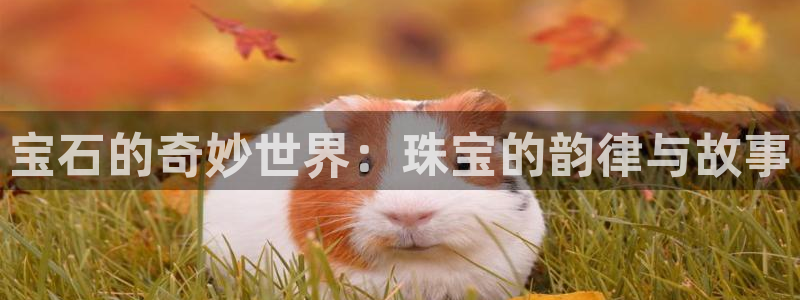 新宝集团新宝5：宝石的奇妙世界：珠宝的韵律与故事