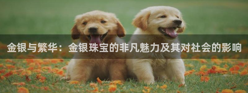 新宝5娱乐注册：金银与繁华：金银珠宝的非凡魅力及其对社会的影响