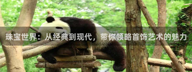 菲律宾新宝5老板：珠宝世界：从经典到现代，带你领略首饰艺术的魅力