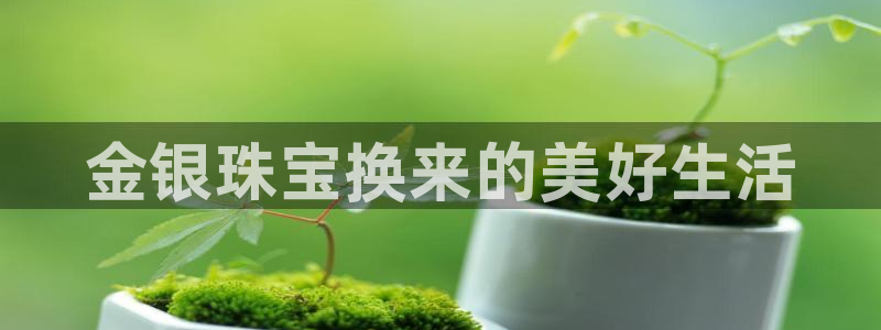 新宝5注册霸：金银珠宝换来的美好生活