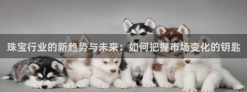 新宝5登录不了：珠宝行业的新趋势与未来：如何把握市场变化的钥匙