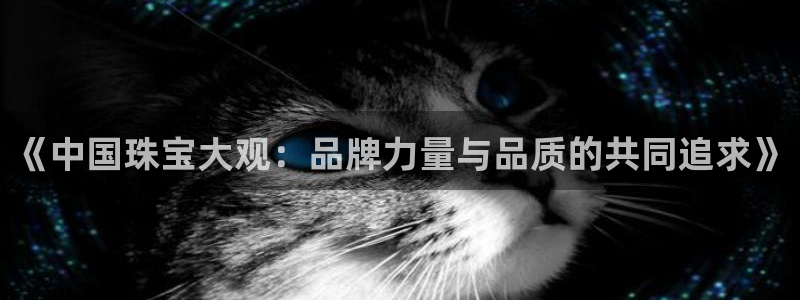 新宝5娱乐同：《中国珠宝大观：品牌力量与品质的共同追求》
