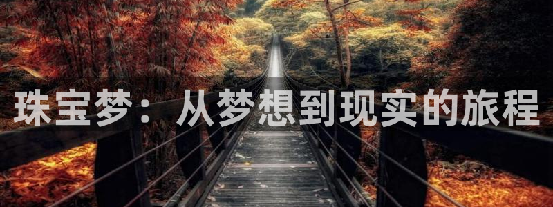 新宝股东王听2 5 5：珠宝梦：从梦想到现实的旅程