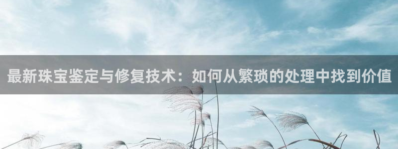 新宝那2O5O5O：最新珠宝鉴定与修复技术：如何从繁琐的处理中找到价值
