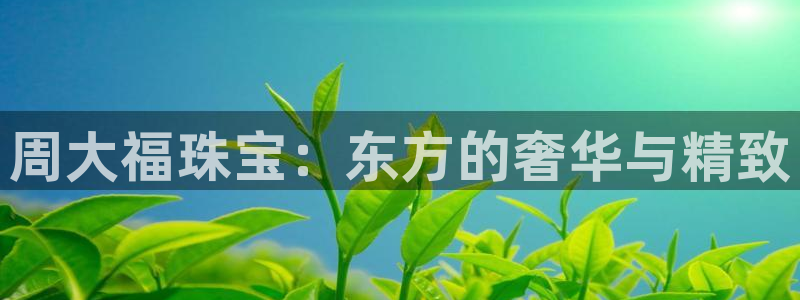 新宝6霸哥5：周大福珠宝：东方的奢华与精致