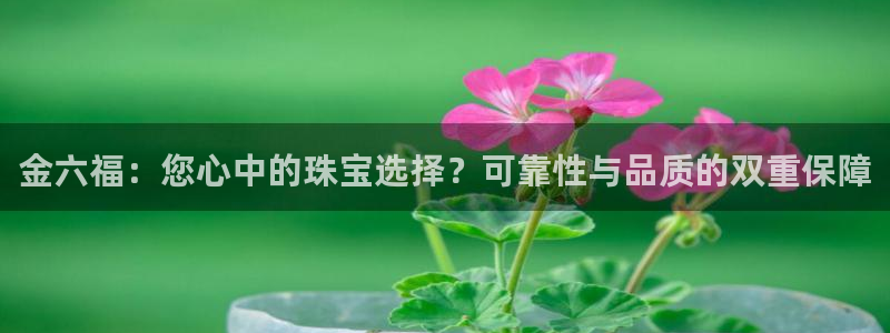 新宝5秒开：金六福：您心中的珠宝选择？可靠性与品质的双重保障
