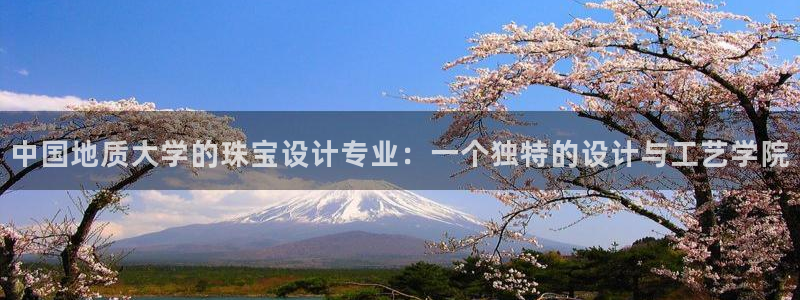 新宝5登录地址：中国地质大学的珠宝设计专业：一个独特的设计与工艺学院
