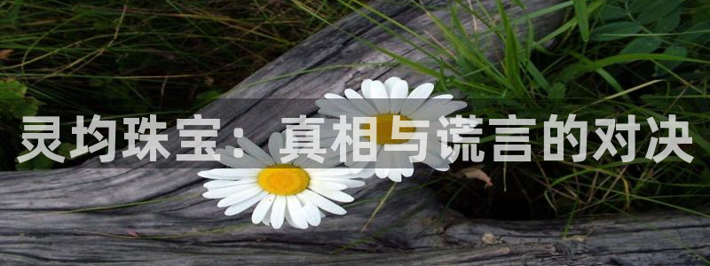 新宝5测登录：灵均珠宝：真相与谎言的对决
