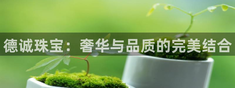 新宝5注册平台：德诚珠宝：奢华与品质的完美结合
