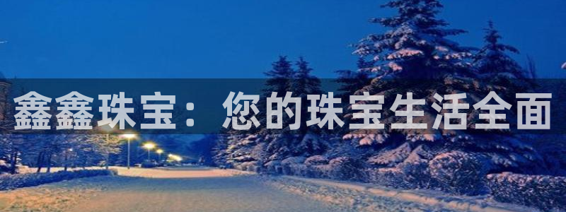 新宝5链接：鑫鑫珠宝：您的珠宝生活全面