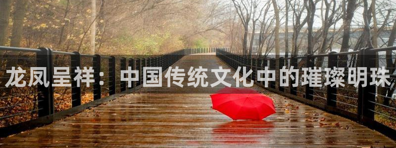 新宝5新宝6顺达：龙凤呈祥：中国传统文化中的璀璨明珠