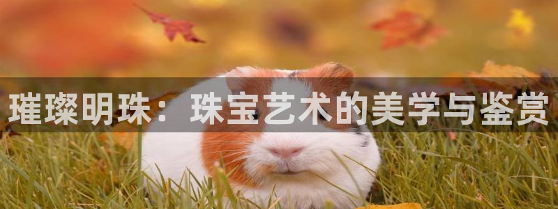 新宝5在哪里：璀璨明珠：珠宝艺术的美学与鉴赏