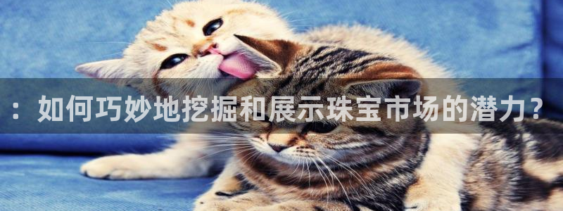 新宝5平台注册公司：：如何巧妙地挖掘和展示珠宝市场的潜力？