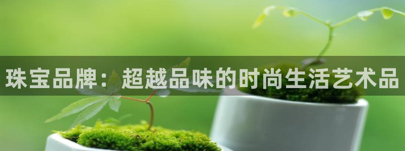 新宝5黑彩：珠宝品牌：超越品味的时尚生活艺术品