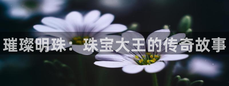 新宝5现在还能玩吗：璀璨明珠：珠宝大王的传奇故事